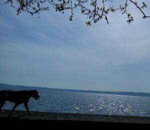 TrevignanoMila - Copia