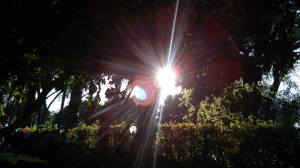 10271044_10203696195595409_1368565095_o