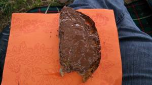 10422647_10203972948194051_2063687326_o