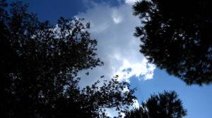 10439253_10203972628266053_117675980_o