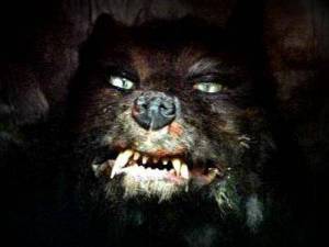 Cosa faresti se ti trovassi davanti al Demone del Nulla?