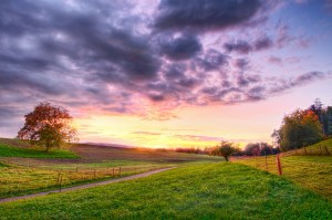 Scrvere, una strada verso casa