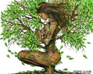 L' albero della vita