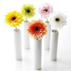 Margherita, il fiore delle mie scelte future!