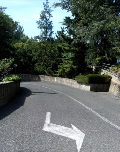 Non è solo una strada alberata. Guarda la freccia, va a destra o a sinistra. E la strada è una discesa o una salita?